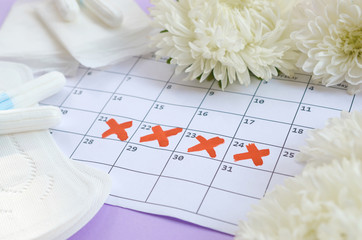 Menstrual pads and tampons on menstruation period calendar with white flowers on lilac background