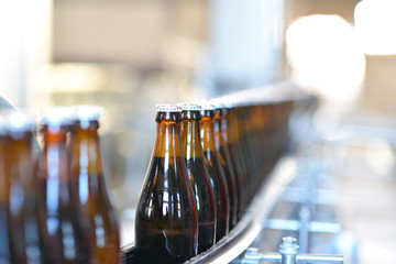 Abfüllen von Bier in Glasflaschen am Fliessband in einer modernen Brauerei // Filling of beer in glass bottles on a conveyor belt in a modern brewery  - obrazy, fototapety, plakaty