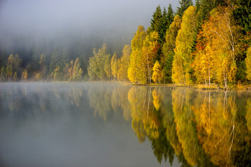 autumn landscape in the mountains with trees reflecting in the water at St. Ana's lake, Romania