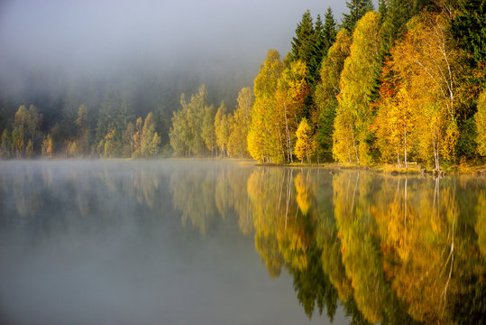 autumn landscape in the mountains with trees reflecting in the water at St. Ana's lake, Romania © tutye