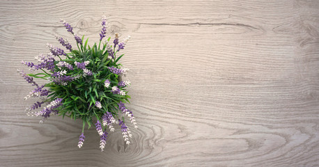 lavender flower in pot wooden table background with copy space..