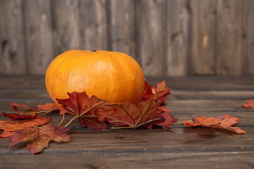 orange pumpkin with orange autumn leaves