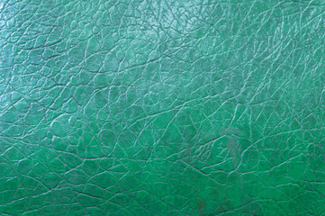 Texture background green leather