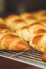Fresh crispy croissants in the oven in the early morning - a traditional French breakfast