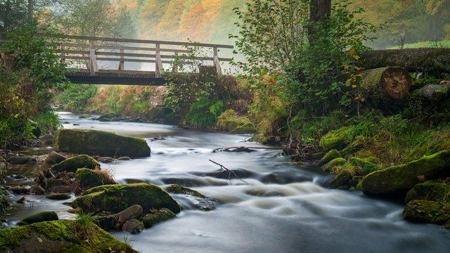 Autumn Morning
