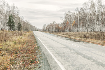 Empty abandoned road on a background of autumn forest. Mystical Gray Skies