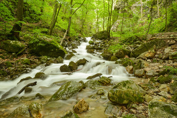 Cascade of Chotarny stream in beautiful Zadielska Gorge in Slovak Karst