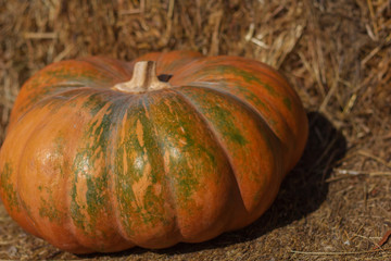 pumpkin with leaves on wooden background