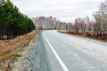 Fototapeta premium Empty abandoned road on a background of autumn forest. Mystical Gray Skies