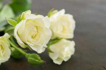 white blooming roses on a dark background.