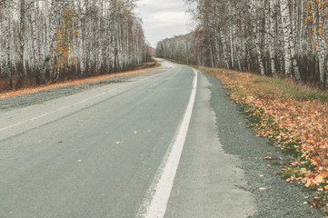 Empty abandoned road on a background of autumn forest. Mystical Gray Skies
