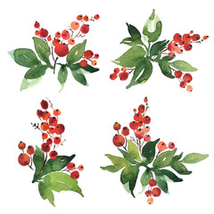 Christmas watercolor set of bouquet arrangings. Holly berries with green leaves