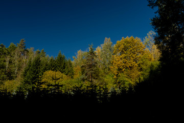 Forests in valley near Stare Splavy village in autumn color sunny day