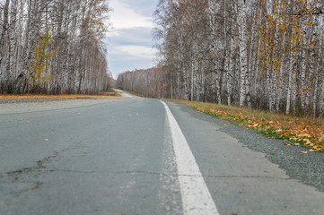 Empty abandoned road on a background of autumn forest. Mystical Gray Skies
