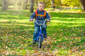Little boy rides a bicycle in the autumn park.