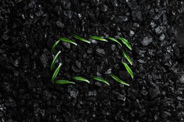 Nature concept, Frame of green twigs and leaves on a dark coal background. Environmental pollution, coal mining, clean air, clean energy source.
