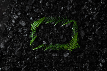 Nature concept, Frame of green twigs and leaves on a dark coal background. Environmental pollution, coal mining, clean air, clean energy source.