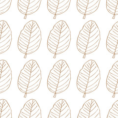 Brown line sketch sketch leaves isolated