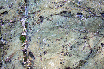 Stones texture and background. Rock texture