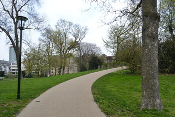 Fototapeta premium Parque Jardin