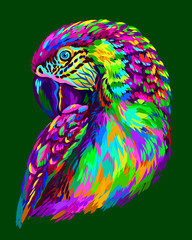 Macaw parrot. Abstract, neon macaw parrot portrait on a dark green background.