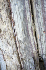 Stones texture and background. Rock texture