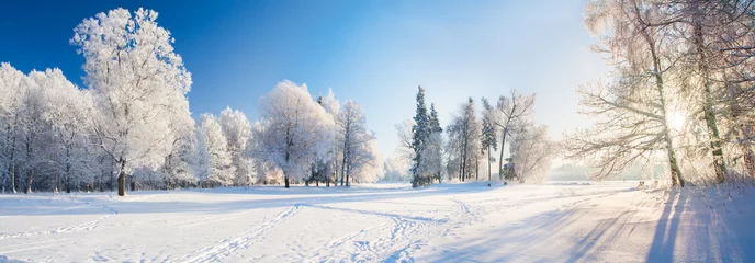 Papier Peint photo Lavable Ciel bleu Panorama du magnifique parc d& 39 hiver