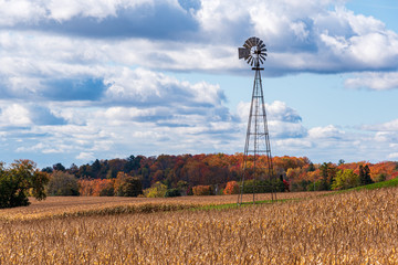 Large metal windmill in a cornfield