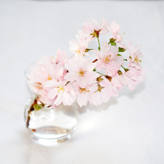 white flowers in vase
