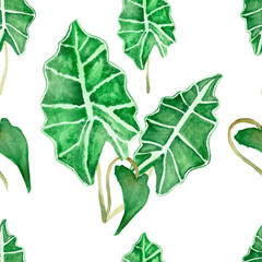 Fototapeta premium Watercolor hand painted nature organic seamless pattern with green tropical leaves and branches with white stripes isolated on the white background for textile and wallpaper texture