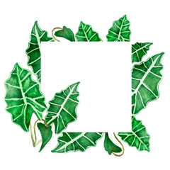 Watercolor hand painted nature eco squared frame with green tropical leaves with white strips on the white background for invitations and greeting cards with the space for text