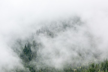 Foggy summer moring over forest slopes