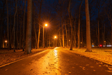 Raw asphalt road in the night park, under the light of lanterns, in late autumn