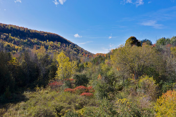 autumn in the mountains