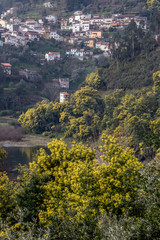 Fototapeta na wymiar Penacova, Coimbra, Portugal 