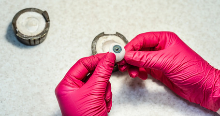 Ophthalmologist or surgeon holds in hand dressed in red gloves an eye, eyeball prosthesis. Concept photo for ocular prosthesis, diagnosis and treatment of ophtalmic diseases