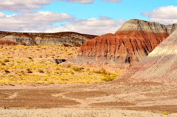 Petrified Forest Arizona