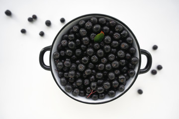 Chokeberry in a bowl. On white background