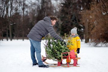 Little boy with his father lay a Christmas tree on a sled to take it home from winter forest.