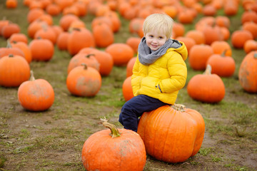 Little boy having fun on a tour of a pumpkin farm at autumn. Child sitting on giant pumpkin.