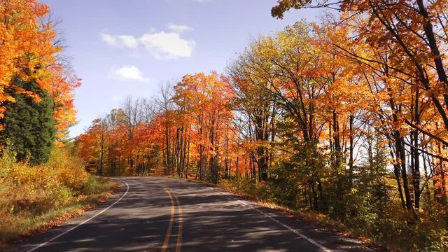 Sightseeing road trip, driving down sunny country road in Autumn, amazing Fall colors, cool breeze, leaves falling.