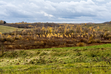 Green field and trees with yellow and orange foliage. European autumn landscape with cloudy blue sky