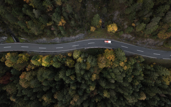 seasonal mountain road leading into the forest
