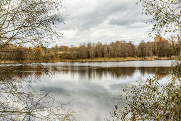 view of the autumn forest lake through the trees, overcast autumn day
