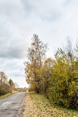 Fototapeta na wymiar A curving autumn road with colorful forest and mountain in the far distance in cloudy day