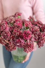 Petals of red and pink Carnation in woman hand. Unusual flowers dianthus . Spring flower pattern
