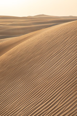 Photo of dunes in a Desert in Liwa from United Arab Emirates