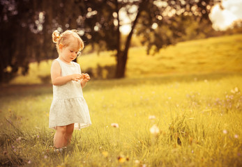 Cute little girl playing in a meadow of wild flowers. 