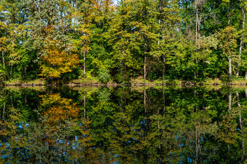 Herbstbäume spiegeln sich im Wasser