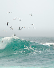 Fototapeta na wymiar waves birds flying over dramatic ocean